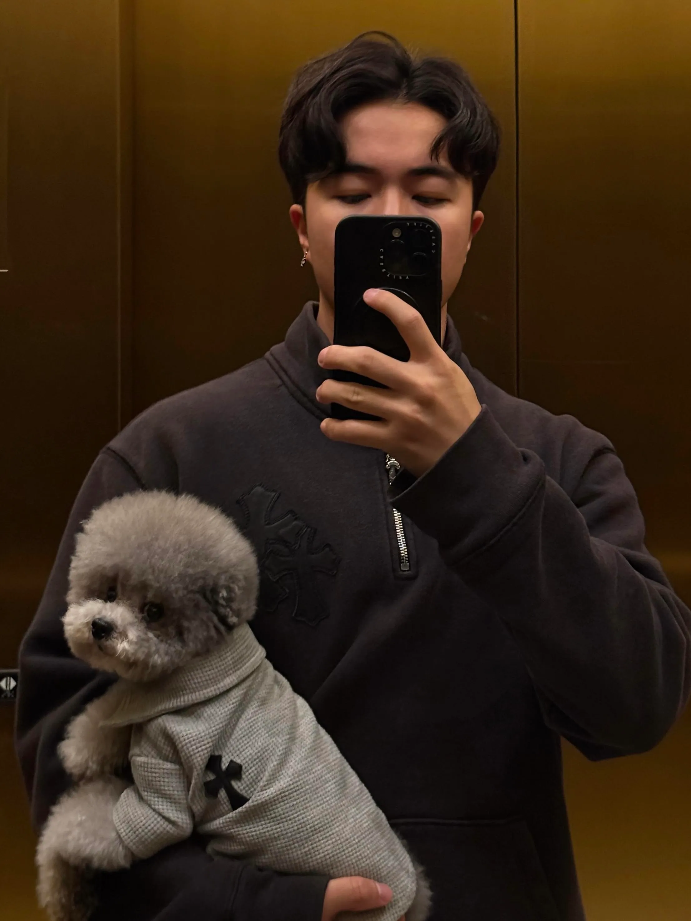 ┃ ┃